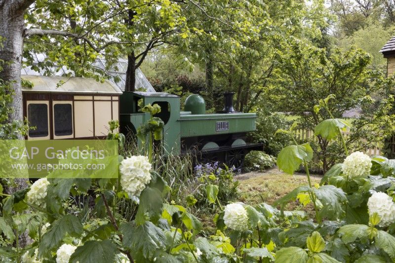 Le chemin de fer Jardin d'enfants avec train à vapeur et calèche, entouré d'arbres et d'arbustes. Recréé à partir du Hampton Court RHS Gold Medal Show Garden/Best in Show 1997. Trago Mills show gardens, Devon, UK. Peut. Printemps