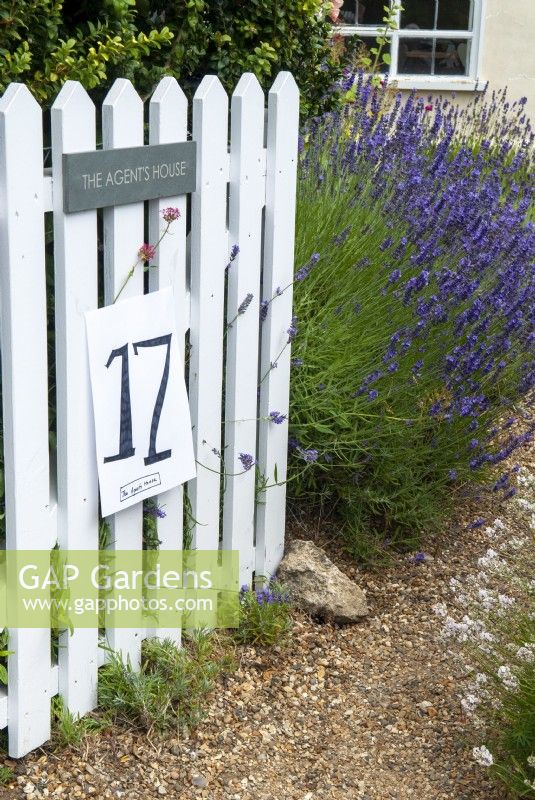 Porte ouverte sur le jardin et la lavande le long du chemin de gravier accueillant les visiteurs à l'intérieur le jour des jardins ouverts, Easton, Suffolk