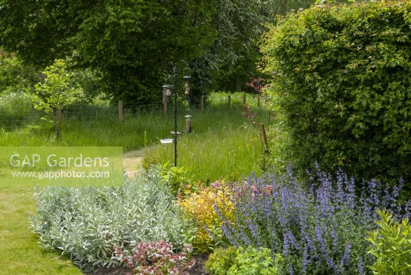 Plantes vivaces en parterre de fleurs avec station d'alimentation pour oiseaux et sentier fauché en prairie de fleurs sauvages - Journée des jardins ouverts, Bures, Suffolk