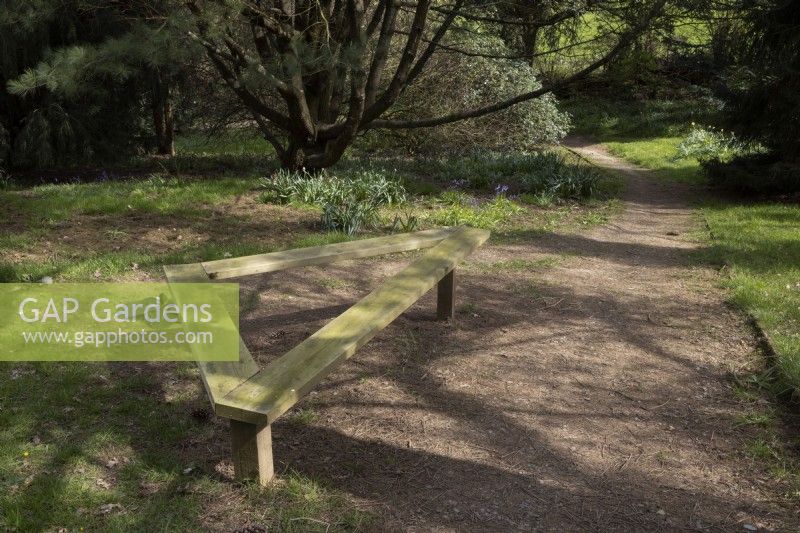 Un banc en bois triangulaire au bord d'un chemin dans un jardin boisé. Jardins de Marwood Hill, Devon. Printemps. Peut.