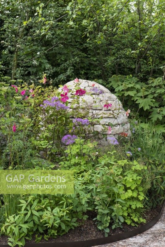 Un cairn de pierre immergé dans un parterre de fleurs avec Rosa x odorata 'Mutabilis' et Thalictrum 'Black Stockings', rue des prés. Conception Harris et Bugg, Chelsea Flower Show 2023.