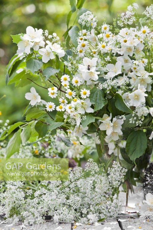 Bouquet de fleurs blanches contenant de la camomille, des berces et des Philadelphus.
