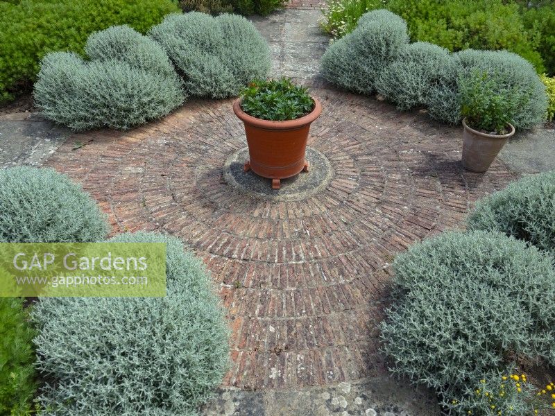 Jardin d'herbes aromatiques formel avec maçonnerie circulaire juillet été