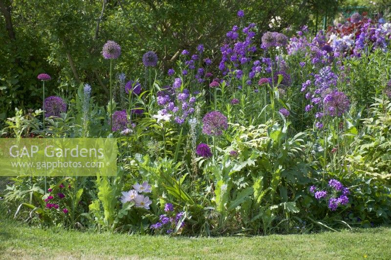 Giverny, France - Parterre de fleurs dans le jardin de Monet - Mai 2023