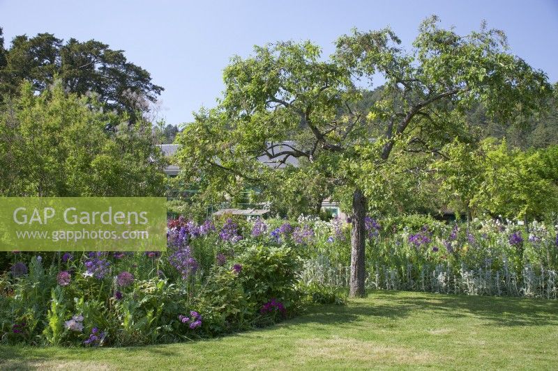 Giverny, France - Parterres de fleurs dans le jardin de Monet - Mai 2023