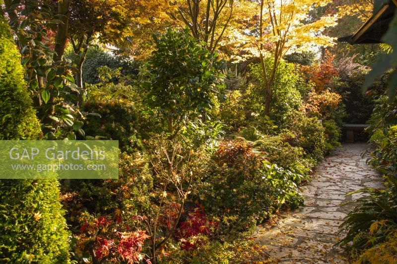 Chemin à travers le jardin des quatre saisons - West Midlands - Octobre