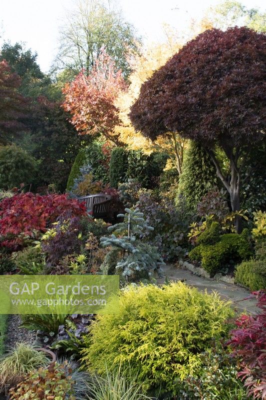 Parterres de fleurs dans le jardin des quatre saisons - West Midlands - Octobre