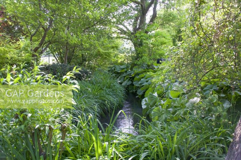 Giverny, France - Jardin de Monet - Le Ruisseau - Mai 2023
