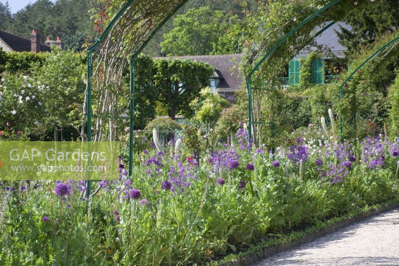Giverny, France - Jardin de Monet - Arcades de roses au milieu d'Iris et de parterres de fleurs vivaces - Mai 2023