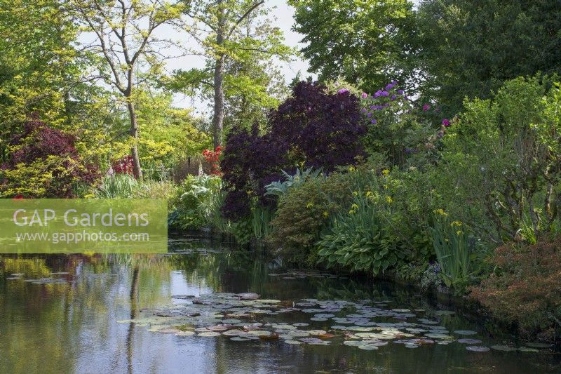 Giverny, France - Jardin de Monet - Le Bassin aux Nymphéas - Mai 2023