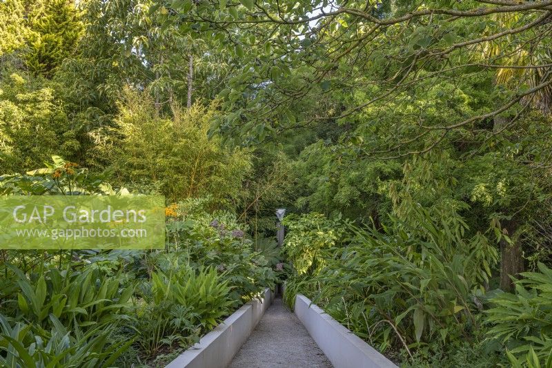Vue d'un jardin exotique design contemporain formel en été - juillet