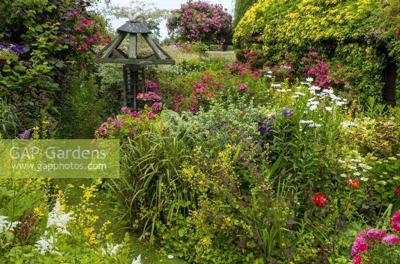Chemin étroit à travers une plantation dense de roses, de diverses plantes vivaces et d'arbustes dans un jardin de campagne - Journée des jardins ouverts, Stowupland, Suffolk