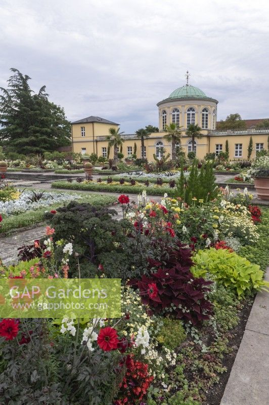 Hanovre Allemagne Jardins royaux de Herrenhausen. BerggartenParterres de fleurs comprenant des dahlias et des crucifères.