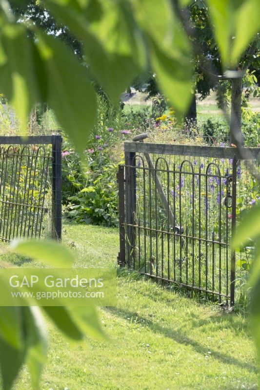 Entrée avec clôtures rouillées au jardin fleuri.