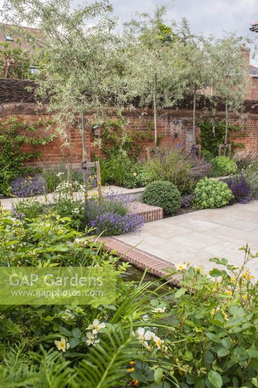 Jardin clos de murs avec dallage en grès, petit bassin bordé de briques, moustiquaire Pyrus salicifolia 'Pendula' et petits parterres secs