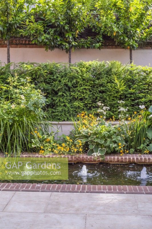 Petite piscine rectangulaire bordée de briques avec fontaines à bulles et plantation jaune et blanche - Geums ; Hosta; Astrantia et roses