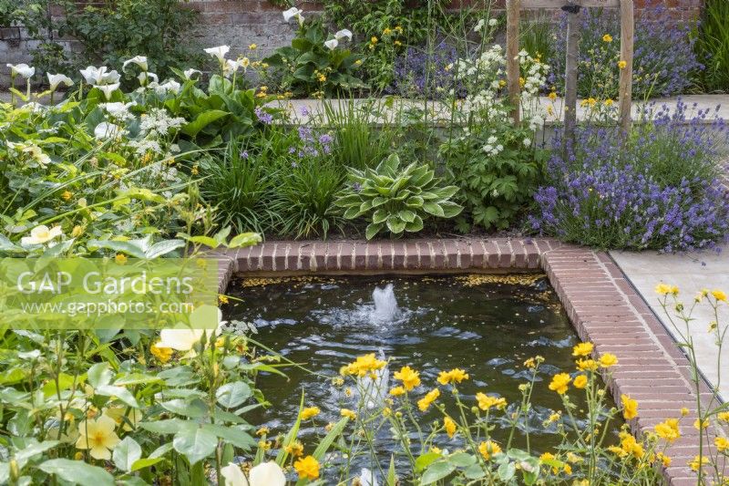 Petite piscine rectangulaire bordée de briques avec fontaines à bulles et plantation jaune et blanche - Geums ; Hosta; Astrantia et roses