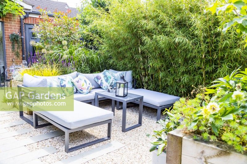 Canapé avec petite table dans un jardin de gravier avec chemin de carrelage en pierre décalé d'un côté et grande série de Fargesia Robusta 'Campbell' - plantes de bambou dans un parterre de fleurs de l'autre côté