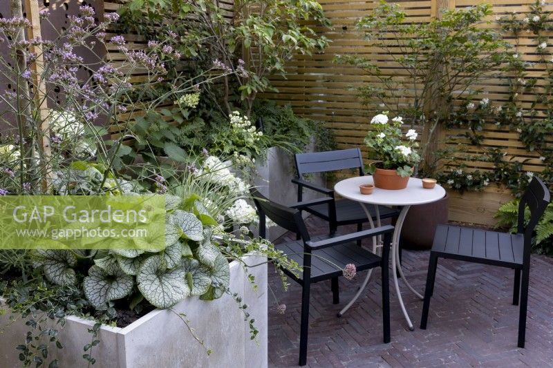 Coin salon dans le coin d'un jardin contemporain, intimité grâce à une clôture en bois et un parterre de fleurs surélevé de Brunnera panaché et d'autres plantes vivaces