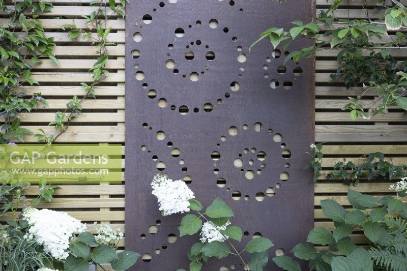 Écran métallique avec un design circulaire et en spirale attaché à une clôture en bois contemporaine, hortensia à fleurs blanches au premier plan