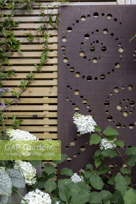 Écran métallique avec motif en spirale fixé à une clôture en bois contemporaine, au premier plan un hortensia à fleurs blanches