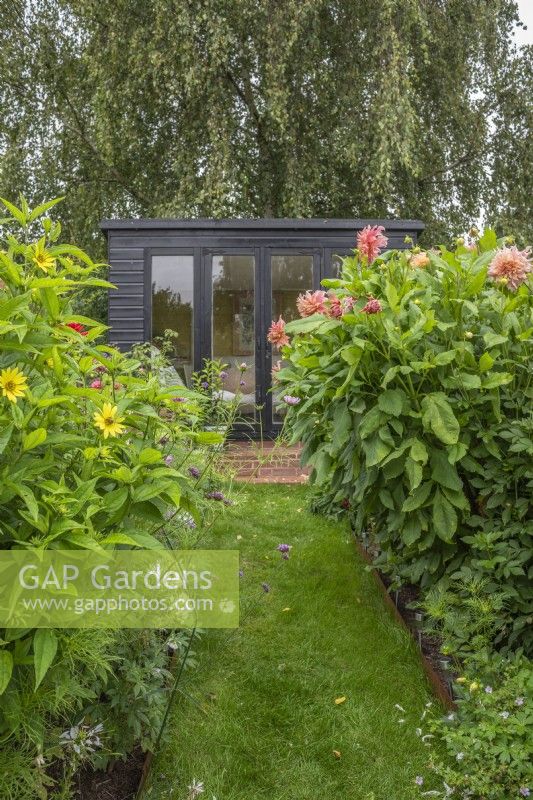 Sentier herbeux menant au pavillon noir avec parterres de fleurs de Dahlias inc; 'Penhill Watermelon'; annuelles et Helianthus 'Lemon Queen