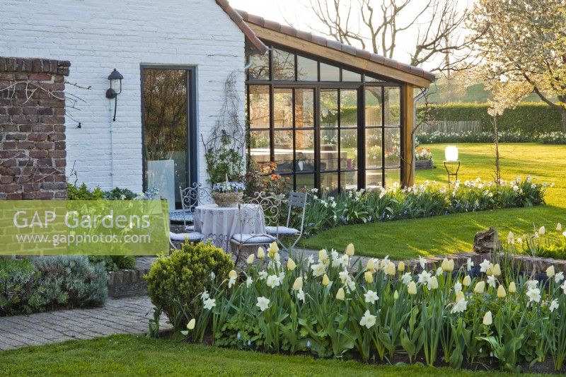 Mobilier de jardin en métal blanc avec nappe et pot avec altos et parterre de tulipes et de jonquilles sur le thème blanc-jaune.