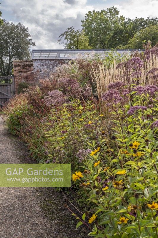 Parterre de fleurs naturaliste avec graminées et plantes vivaces, dont Eupatorium maculatum