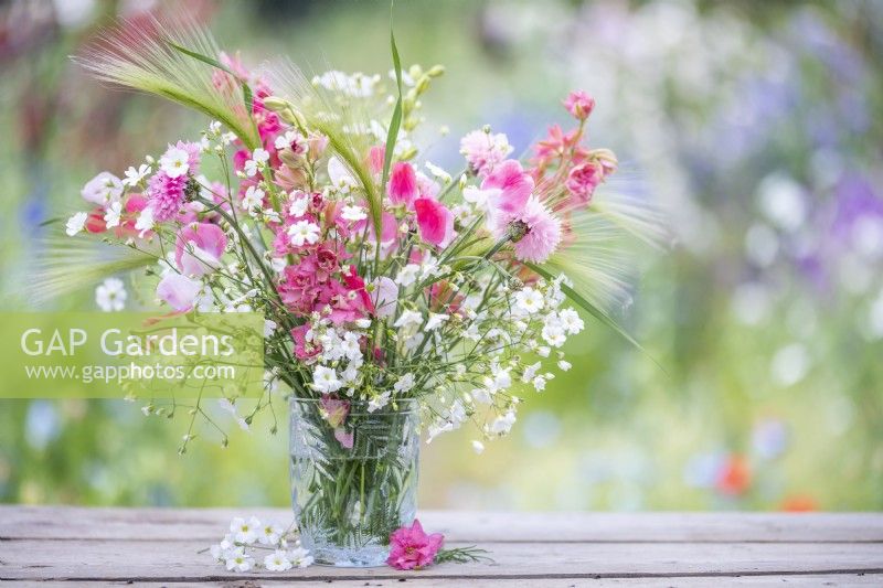 Bouquet de fleurs contenant Gypsophila elegans 'Covent Garden', Centaurea cyanus - rose, Delphinium 'Salmon Spire', Hordeum jubatum et Lathyrus 'Painted Lady' - Pois de senteur dans un vase en verre