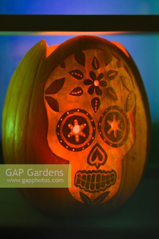 Lanterne citrouille sculptée et décorée d'Halloween représentant un crâne. Octobre