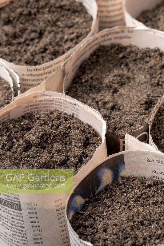 Fabriquer des pots de plantes biodégradables avec du vieux journal