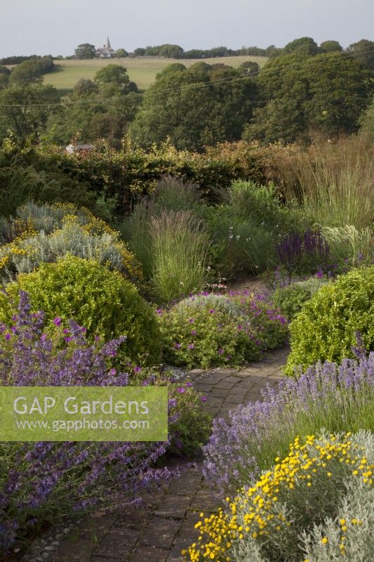 Jardin résistant à la sécheresse rempli de plantes méditerranéennes. Un sentier de briques incurvées serpente à travers le Jewel Garden - Nepeta 'Six Hills Giant' - Catmint, Santolina chamaecyparissus ' Yellow Buttons', Euphorbia seguieriana subsp. niciana , graminées dont Calamagrostis brachytricha et Stipa gigantea, Géraniums, Salvia nemerosa 'Caradonna', Lavande, Boules de Buxus sempervirens - Boite. Vue sur les champs jusqu'à l'église Pett.