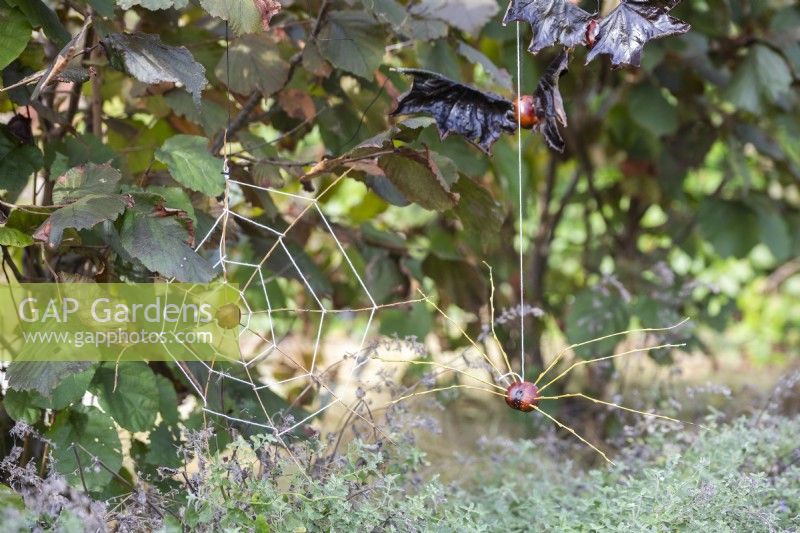 Araignée de brindille de conker et de saule suspendue à côté de la toile d'araignée de conker