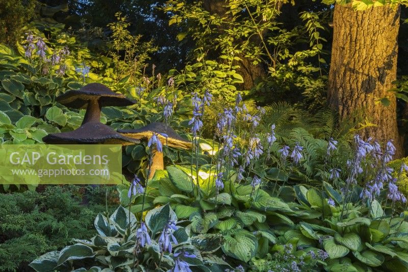 Arbre à feuilles caduques illuminé sous-planté d'Hosta à fleurs mixtes et de sculptures décoratives de champignons géants dans un parterre de fleurs incliné dans le jardin d'arrière-cour au crépuscule.