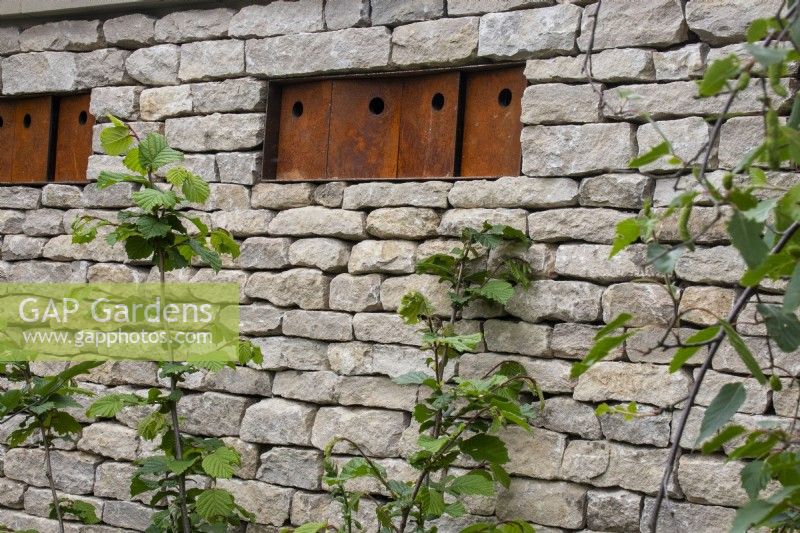 Nichoirs à oiseaux de John Hollington Design installés dans un mur de pierres sèches sur le jardin RSPCA conçu par Martyn Wilson - RHS Chelsea Flower Show 2023