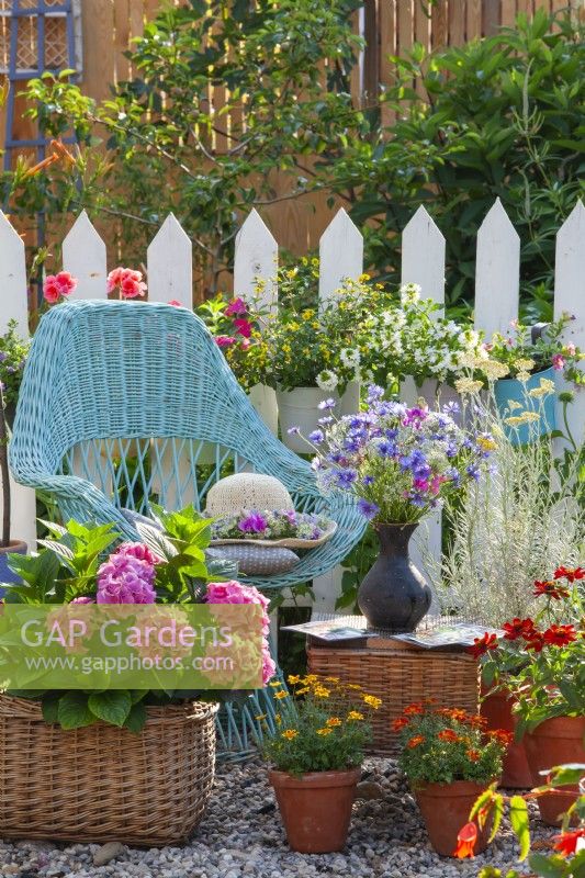 Bouquet de fleurs avec des bleuets, des carottes sauvages et des ontainers avec des hortensias, des zinnia, des plantes de curry et des fleurs de balcon.
