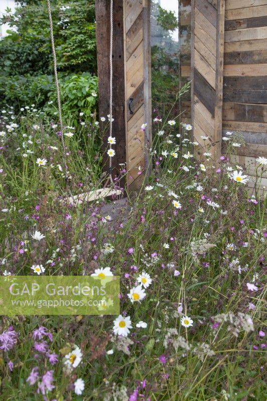 Fleurs sauvages devant des matériaux recyclés bruts dans le jardin « Inspiration in the Raw » au BBC Gardener's World Live 2018