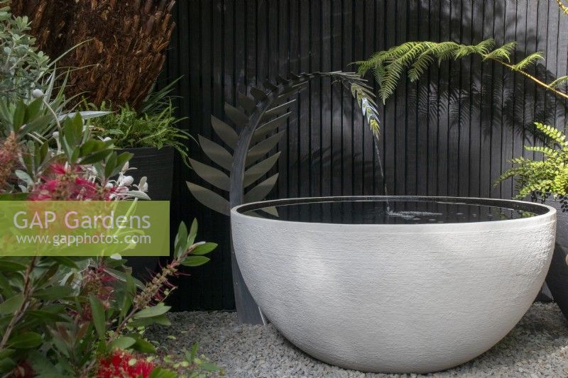 Cyathea dealbata - fougère argentée - fontaine contemporaine inspirée du jardin Feels Like Home conçu par Rosemary Coldstream - À propos du jardin - RHS Chelsea Flower Show 2023