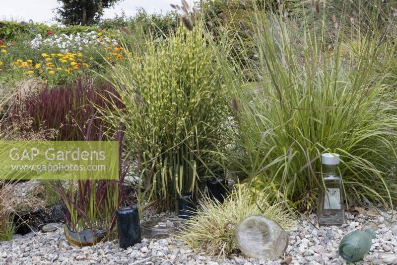 Dans le Bottle Garden, diverses herbes poussent sur un substrat de gravier parmi de nombreuses bouteilles en verre de différentes couleurs. Lumières du port, jardin Devon NGS. Juillet.