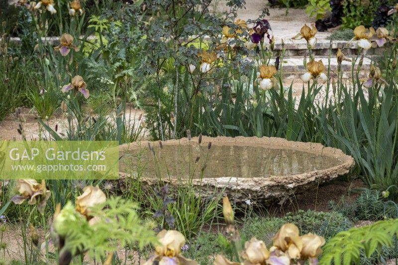 Bol d'eau fixe, constitué d'agrégats de déchets, entouré d'iris barbus dans un jardin sec
