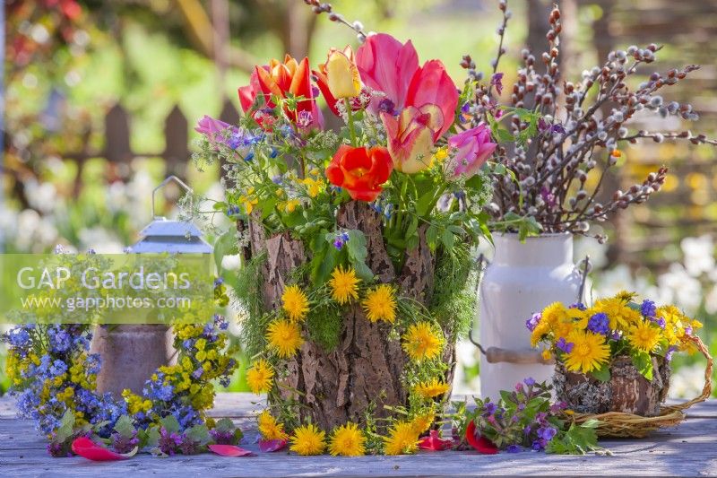 Bouquet de fleurs printanières comprenant des fleurs sauvages et des tulipes dans un vase recouvert d'écorce, des couronnes de fleurs de pissenlit et de Myosotis. Théière en écorce, saule et lichens remplie de bouquet de pissenlit et de muscari.