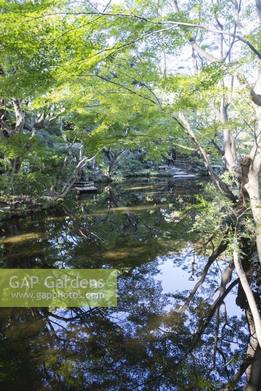 L'étang Seisen avec les arbres environnants se reflétant dans l'eau.