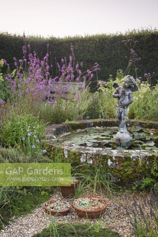 Pots de sempervivums à côté d'un étang circulaire avec statue de chérubin dans le jardin d'herbes aromatiques de Parham House en septembre