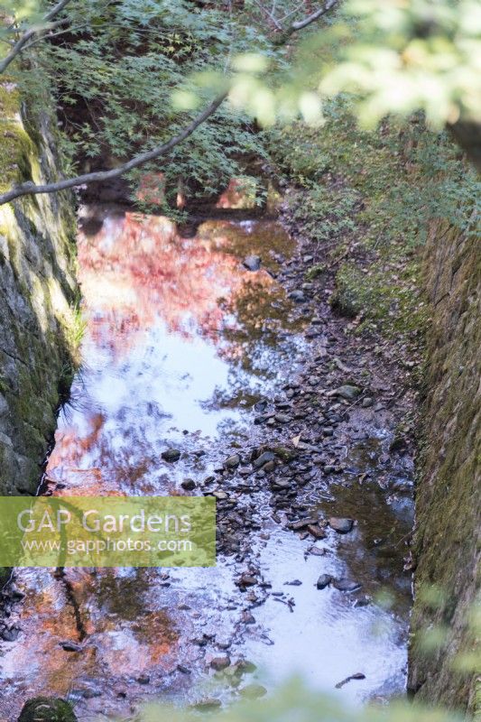 Couleur d'automne dans les arbres reflétés dans le ruisseau du jardin de la vallée.