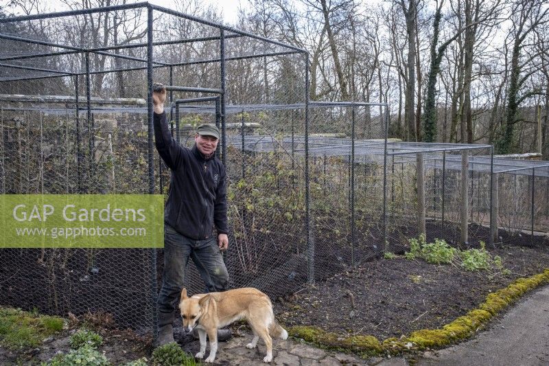 Tom Coward et son chien Gwen devant les cages à fruits du Gravetye Manor