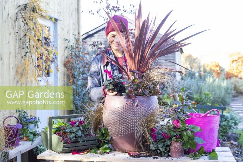 Femme plantant du Cyclamen en pot avec Cordyline 'Red Star', Carex 'Bronco' et Leucothoe 'Zeblid'