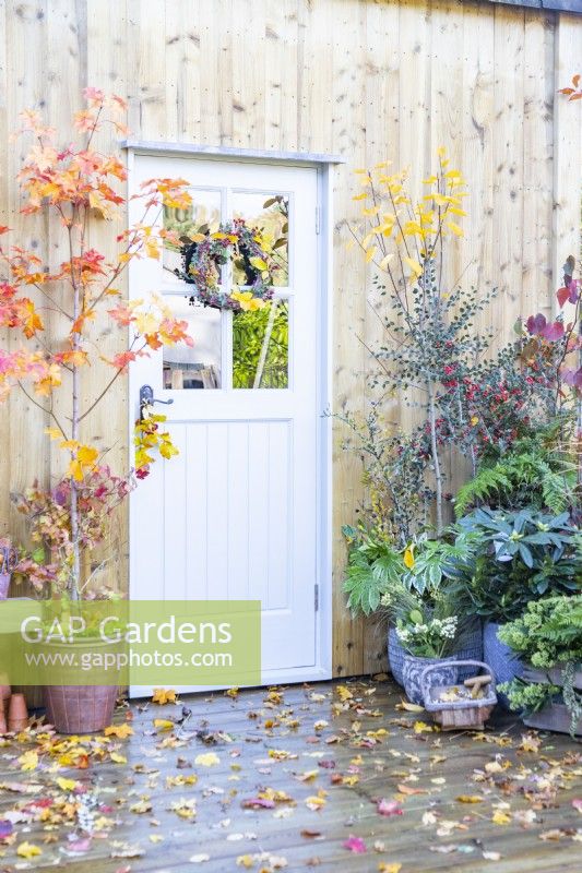 Terrasse en bois avec une grande variété de plantes dans différents pots avec des feuilles d'automne dispersées