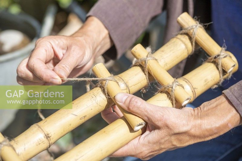 Femme attachant des morceaux de bambou plus courts entre deux morceaux plus longs pour créer une petite échelle