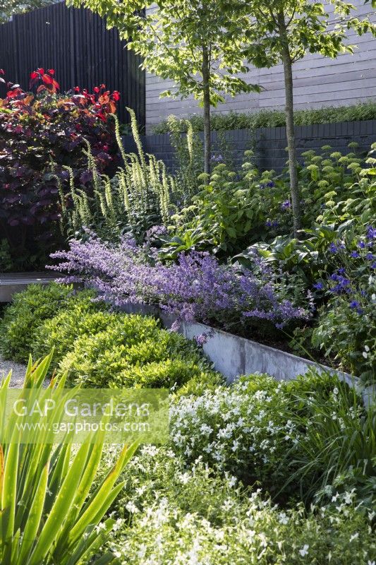 Parterre de fleurs surélevé en métal avec plantation d'été mixte dans un jardin moderne