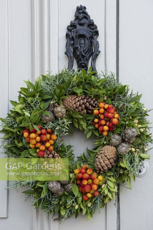 Une couronne de Noël faite de pommes de pin, Arbutus unedo - fruits de l'arbousier, Cupressus arizonica var. glabra 'Glauca' - Cônes et feuillage du cyprès d'Arizona 'Glauca' et feuillage de Drimys accrochés à la porte d'entrée